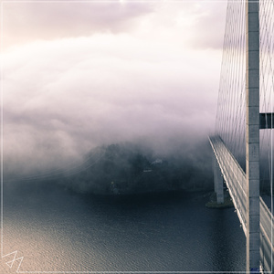 一级A片猛交BBBB
