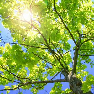 一级A片猛交BBBB
